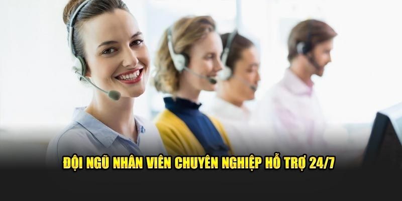 Đội ngũ hỗ trợ 