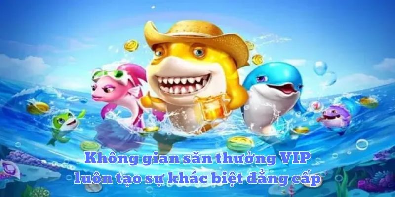 Không gian săn thưởng VIP luôn tạo sự khác biệt đẳng cấp